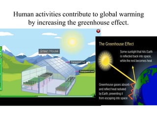 Human activities contribute to global warming
by increasing the greenhouse effect.
 
