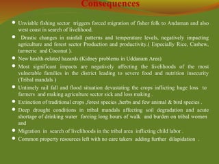 Consequences
 Unviable fishing sector triggers forced migration of fisher folk to Andaman and also
west coast in search of livelihood.
 Drastic changes in rainfall patterns and temperature levels, negatively impacting
agriculture and forest sector Production and productivity.( Especially Rice, Cashew,
turmeric and Coconut ).
 New health-related hazards (Kidney problems in Uddanam Area)
 Most significant impacts are negatively affecting the livelihoods of the most
vulnerable families in the district leading to severe food and nutrition insecurity
(Tribal mandals )
 Untimely rail fall and flood situation devastating the crops inflicting huge loss to
farmers and making agriculture sector sick and loss making .
 Extinction of traditional crops ,forest species ,herbs and few animal & bird species .
 Deep drought conditions in tribal mandals affecting soil degradation and acute
shortage of drinking water forcing long hours of walk and burden on tribal women
and
 Migration in search of livelihoods in the tribal area inflicting child labor .
 Common property resources left with no care takers adding further dilapidation .
 