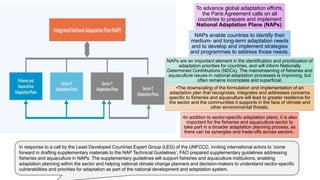 Climate change ,adaptation and mitigation in fisheries | PPTX