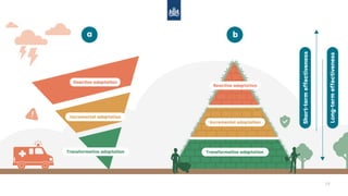 Climate Change Adaptation Governance and Planning in the Netherlands | PDF