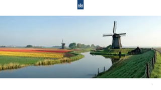 Climate Change Adaptation Governance and Planning in the Netherlands | PDF