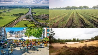 Climate Change Adaptation Governance and Planning in the Netherlands | PDF