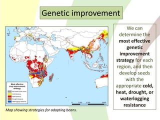 Climate Change Agriculture and Food Security CCAFS CIAT