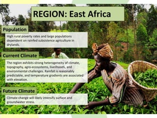 Climate Change Agriculture and Food Security CCAFS CIAT