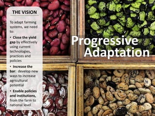 Climate Change Agriculture and Food Security CCAFS CIAT