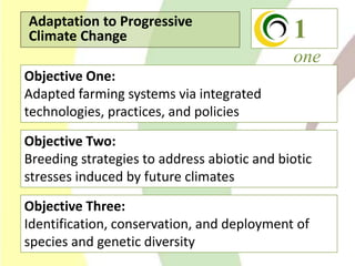 Climate Change Agriculture and Food Security CCAFS CIAT