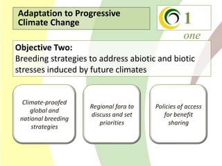 Climate Change Agriculture and Food Security CCAFS CIAT