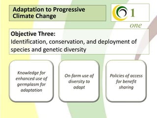 Climate Change Agriculture and Food Security CCAFS CIAT