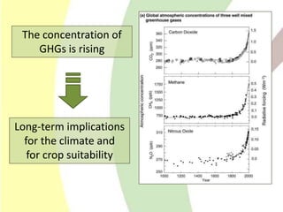 Climate Change Agriculture and Food Security CCAFS CIAT