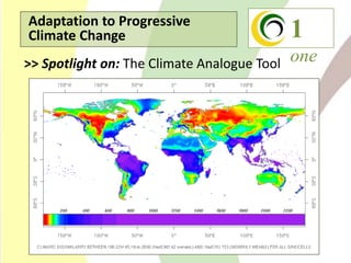 Climate Change Agriculture and Food Security CCAFS CIAT