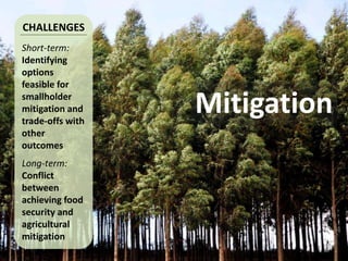 Climate Change Agriculture and Food Security CCAFS CIAT