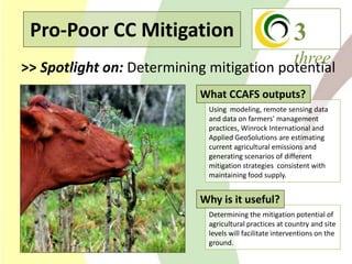 Climate Change Agriculture and Food Security CCAFS CIAT