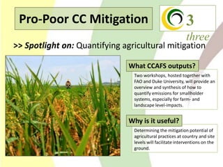 Climate Change Agriculture and Food Security CCAFS CIAT