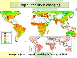 Climate Change Agriculture and Food Security CCAFS CIAT
