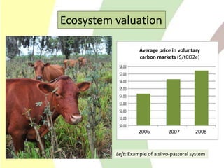 Climate Change Agriculture and Food Security CCAFS CIAT