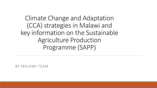 Climate Change and Adaptation
(CCA) strategies in Malawi and
key information on the Sustainable
Agriculture Production
Programme (SAPP)
BY MALAWI TEAM
 