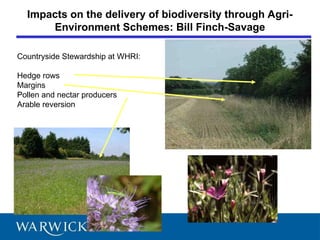 Climate change and agriculture and its .ppt