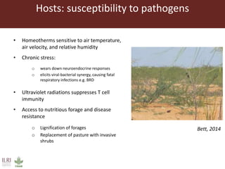 Climate change and animal health