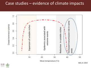 Climate change and animal health