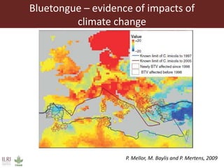 Climate change and animal health