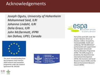 Climate change and animal health