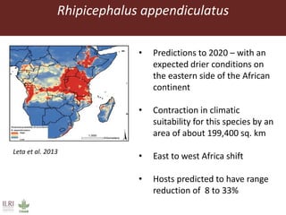 Climate change and animal health