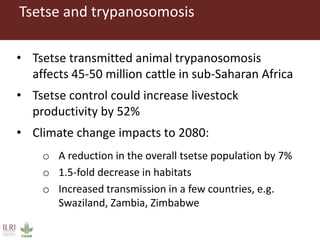 Climate change and animal health