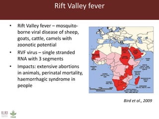 Climate change and animal health