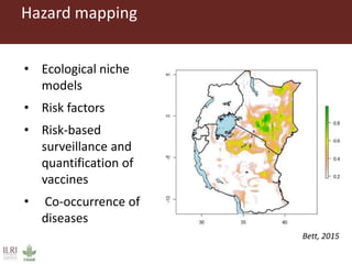 Climate change and animal health