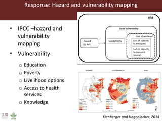 Climate change and animal health