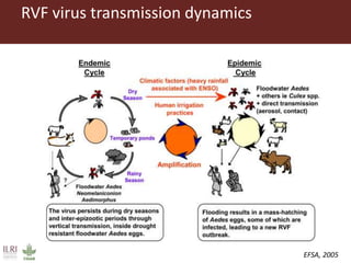 Climate change and animal health