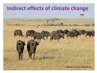 Climate change and animal health