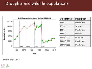 Climate change and animal health