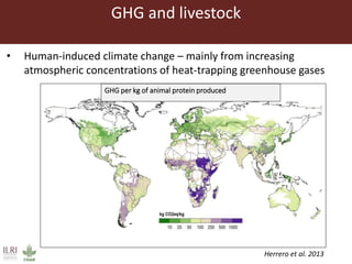 Climate change and animal health