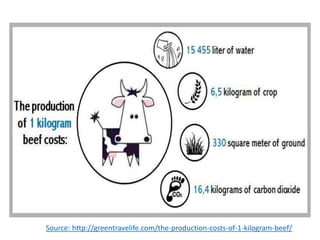 Source: http://greentravelife.com/the-production-costs-of-1-kilogram-beef/
 