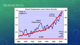 INCREASE IN CO2
 