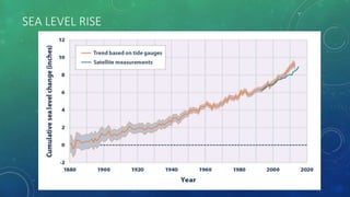 SEA LEVEL RISE
 