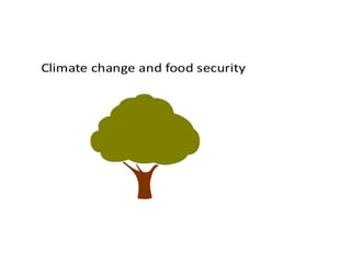 Climate change and food seccurity A Presentation By Mr Allah Dad khan ...