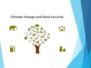 Climate change and food seccurity A Presentation By Mr Allah Dad khan ...