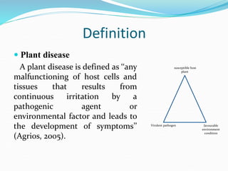 Climate change and forest diseases | PPT