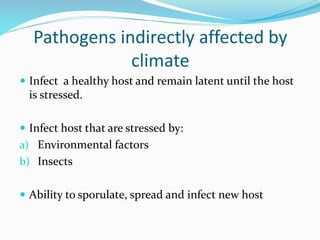 Climate change and forest diseases | PPT