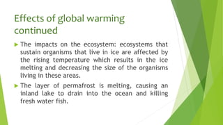 Effects of global warming
continued
 The impacts on the ecosystem: ecosystems that
sustain organisms that live in ice are affected by
the rising temperature which results in the ice
melting and decreasing the size of the organisms
living in these areas.
 The layer of permafrost is melting, causing an
inland lake to drain into the ocean and killing
fresh water fish.
 