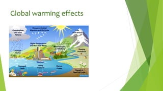 Global warming effects
 