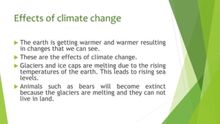 Effects of climate change
 The earth is getting warmer and warmer resulting
in changes that we can see.
 These are the effects of climate change.
 Glaciers and ice caps are melting due to the rising
temperatures of the earth. This leads to rising sea
levels.
 Animals such as bears will become extinct
because the glaciers are melting and they can not
live in land.
 