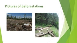 Pictures of deforestations
 