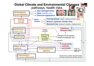 Climate Change and Health Adaptation Strategy in Lao PDR | PDF