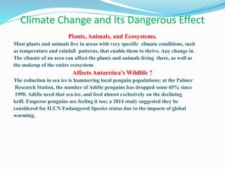 Climate Change and Its Dangerous Effect
Plants, Animals, and Ecosystems.
Most plants and animals live in areas with very specific climate conditions, such
as temperature and rainfall patterns, that enable them to thrive. Any change in
The climate of an area can affect the plants and animals living there, as well as
the makeup of the entire ecosystem.
Affects Antarctica’s Wildlife ?
The reduction in sea ice is hammering local penguin populations; at the Palmer
Research Station, the number of Adélie penguins has dropped some 65% since
1990. Adélie need that sea ice, and feed almost exclusively on the declining
krill. Emperor penguins are feeling it too; a 2014 study suggested they be
considered for IUCN Endangered Species status due to the impacts of global
warming.
 