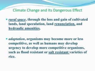 Climate Change and Its Dangerous Effect
 rural space, through the loss and gain of cultivated
lands, land speculation, land renunciation, and
hydraulic amenities.
 adaptation, organisms may become more or less
competitive, as well as humans may develop
urgency to develop more competitive organisms,
such as flood resistant or salt resistant varieties of
rice.
 