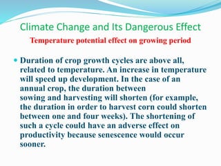 Climate Change and Its Dangerous Effect
Temperature potential effect on growing period
 Duration of crop growth cycles are above all,
related to temperature. An increase in temperature
will speed up development. In the case of an
annual crop, the duration between
sowing and harvesting will shorten (for example,
the duration in order to harvest corn could shorten
between one and four weeks). The shortening of
such a cycle could have an adverse effect on
productivity because senescence would occur
sooner.
 