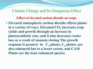 Climate Change and Its Dangerous Effect
Effect of elevated carbon dioxide on crops
 Elevated atmospheric carbon dioxide effects plants
in a variety of ways. Elevated CO2 increases crop
yields and growth through an increase in
photosynthetic rate, and it also decreases water
loss as a result of stomata closing The growth
response is greatest in C3 plants, C4 plants, are
also enhanced but to a lesser extent, and CAM
Plants are the least enhanced species.
 